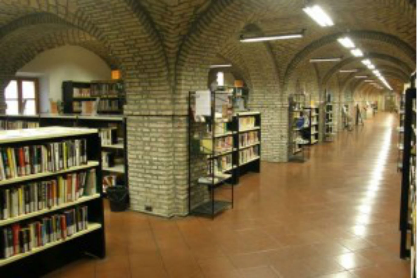 biblioteca-civica- w