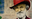Verdi OFF 2025