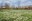 verde-urbano-parco-dei-vetrai.jpg