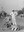 11 - 3 Scansione0015.jpg