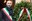 Presidente Alinovi