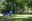 Giochi nel giardino.JPG