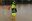 Immagine di un alluvione.jpg