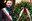 Presidente del Consiglio comunale