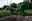 Parco Magnolie 1-min.JPG
