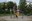 Parco Magnolie 2-min.JPG