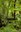 Interno Verde Data Viz Parma 1.jpg