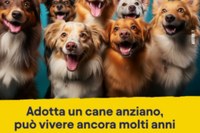 L'amore non ha età: può vivere ancora molti anni