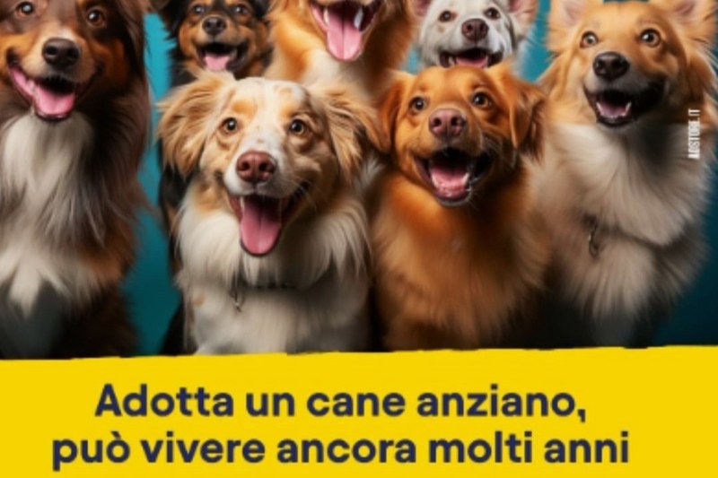 L'amore non ha età: può vivere ancora molti anni