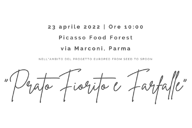 Prato Fiorito e Farfalle: una mattinata per ripensare gli ecosistemi