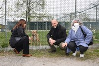 Un nuovo canile per Parma