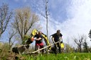 Verde urbano: messi a dimora 50 Nuovi alberi ed arbusti al Parco Ferrari