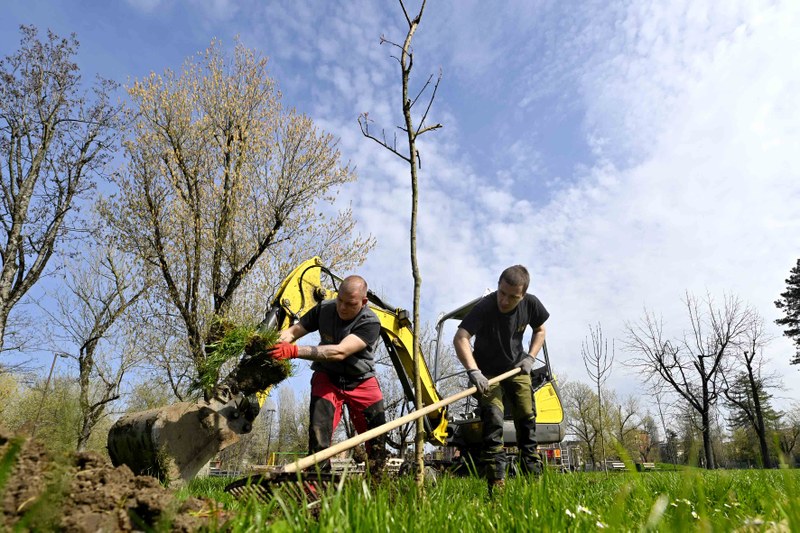 Verde urbano: messi a dimora 50 Nuovi alberi ed arbusti al Parco Ferrari