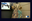 bell'italia2.png