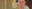 Banner per Vivere Parma_Mostra LEI.png