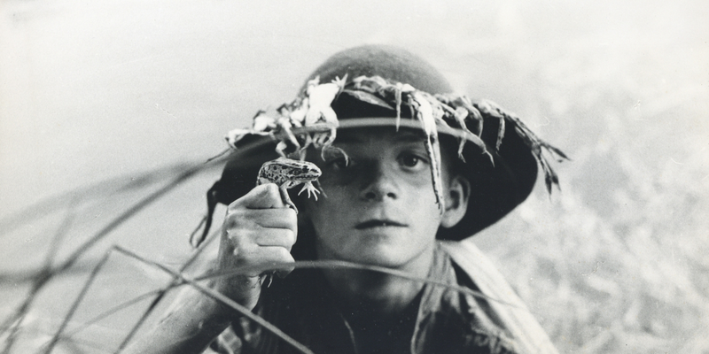 Bernardo Bertolucci. Il Novecento