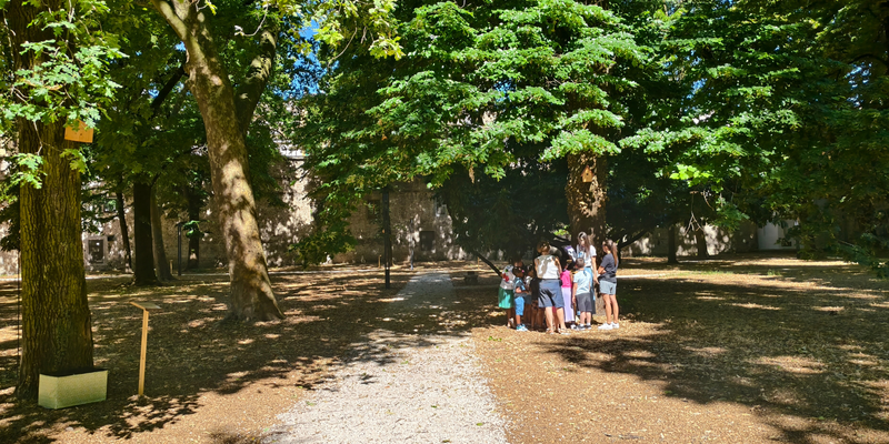 Laboratori per famiglie all'installazione SEED