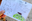 6 Seed.png