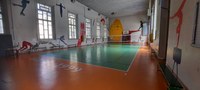 Palestra provinciale Romagnosi