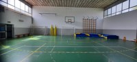 Palestra Vicini
