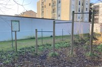 Parco Picasso food forest