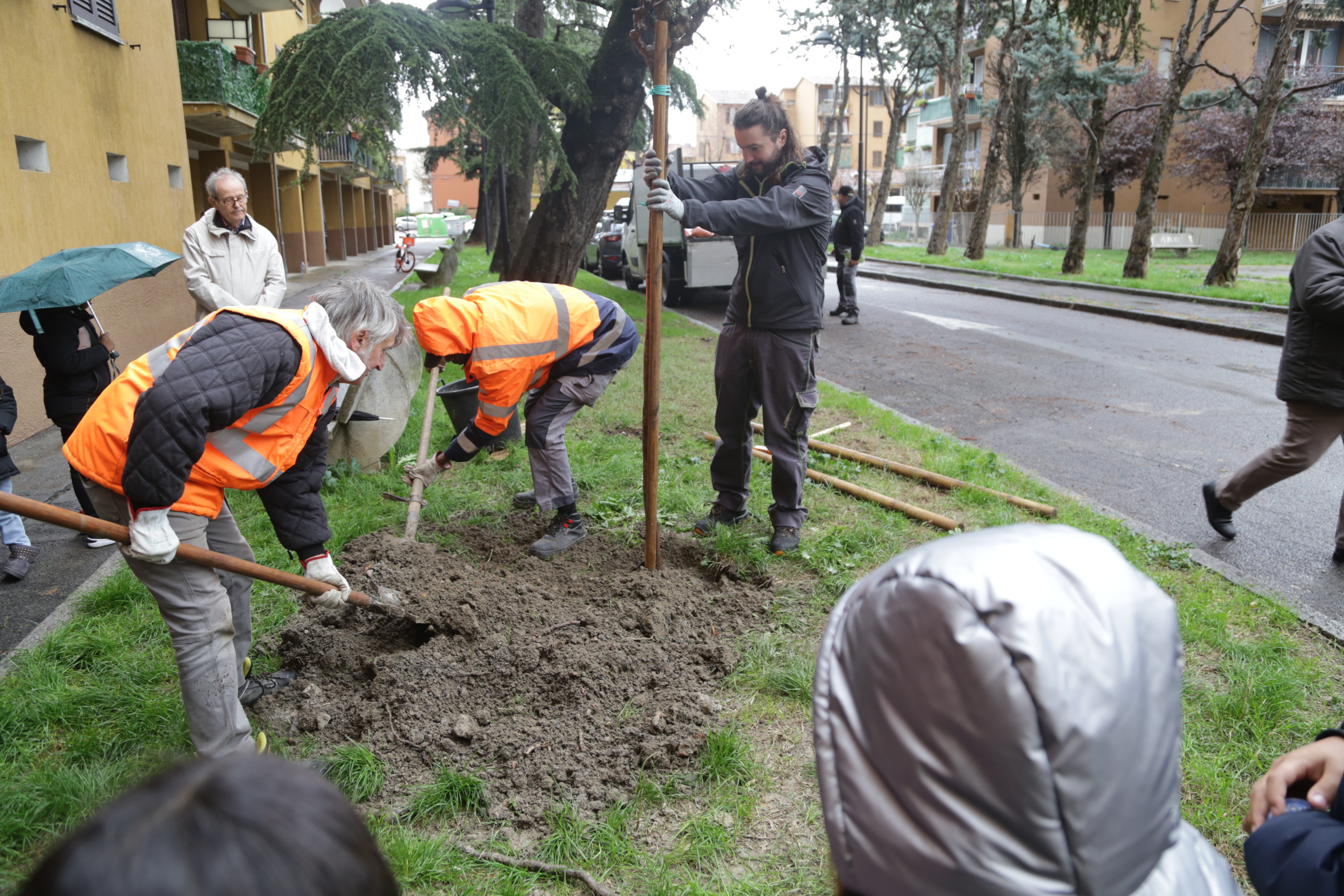Piantumazione via Bassano del Grappa