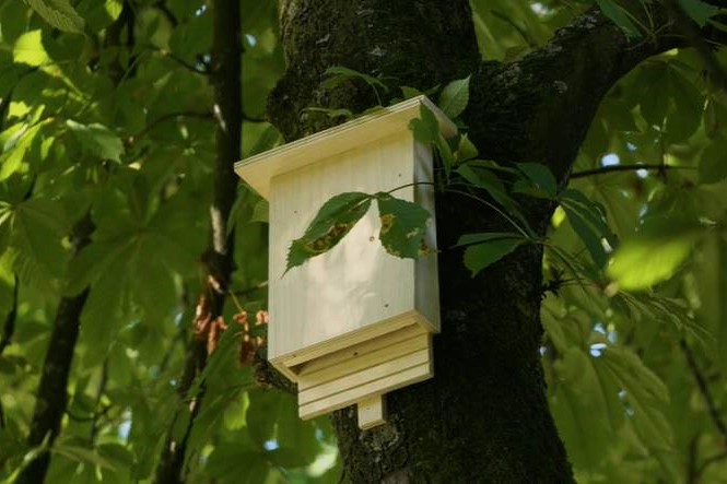 Bat box