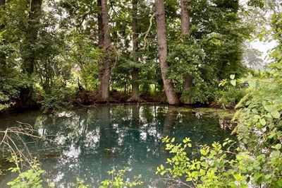 Biodiversità e funzionamento degli ecosistemi nel Comune di Parma