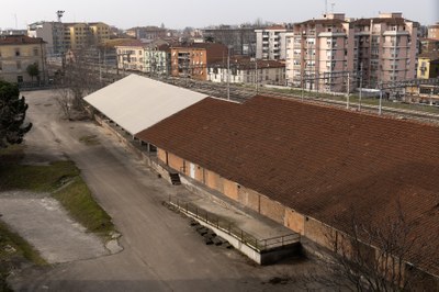 Ex Scalo Merci