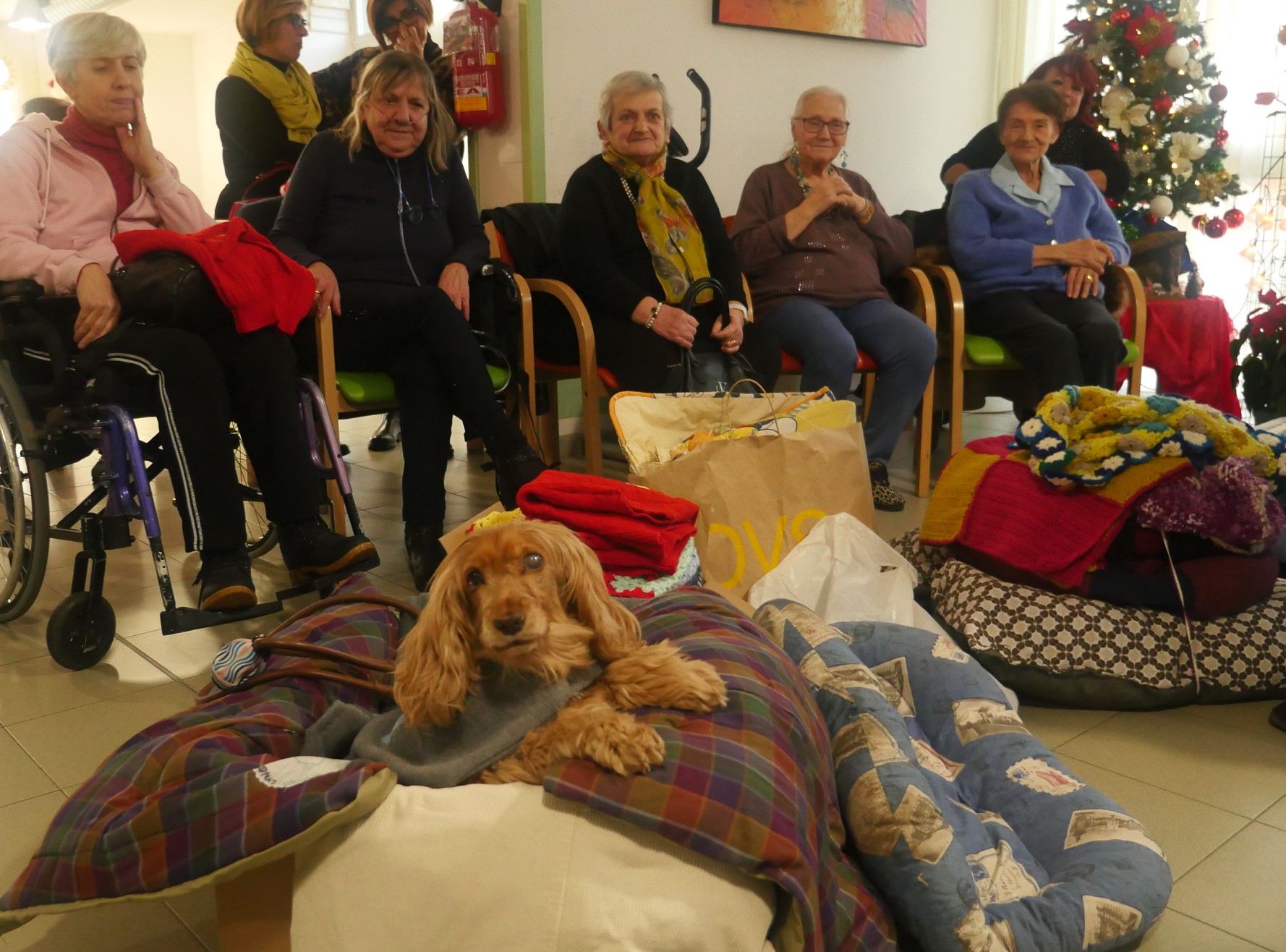 ospiti della RSA La Casa di alberi e cane con cappotto