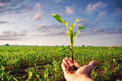 Parma punta sull’agricoltura sostenibile