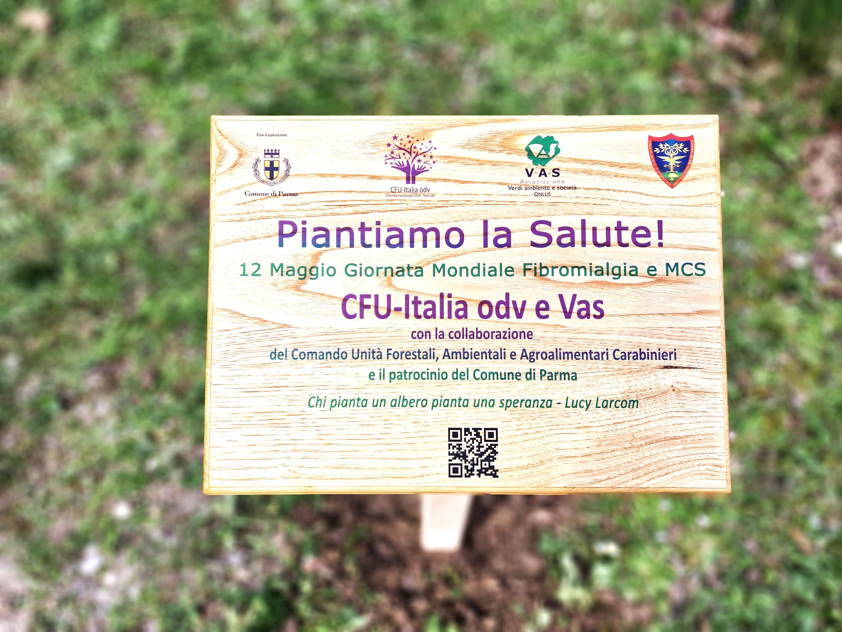 Fibromialgia_Piantiamo la Salute (4).jpg