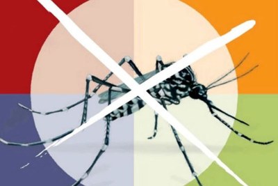 Zanzara tigre e zanzara comune