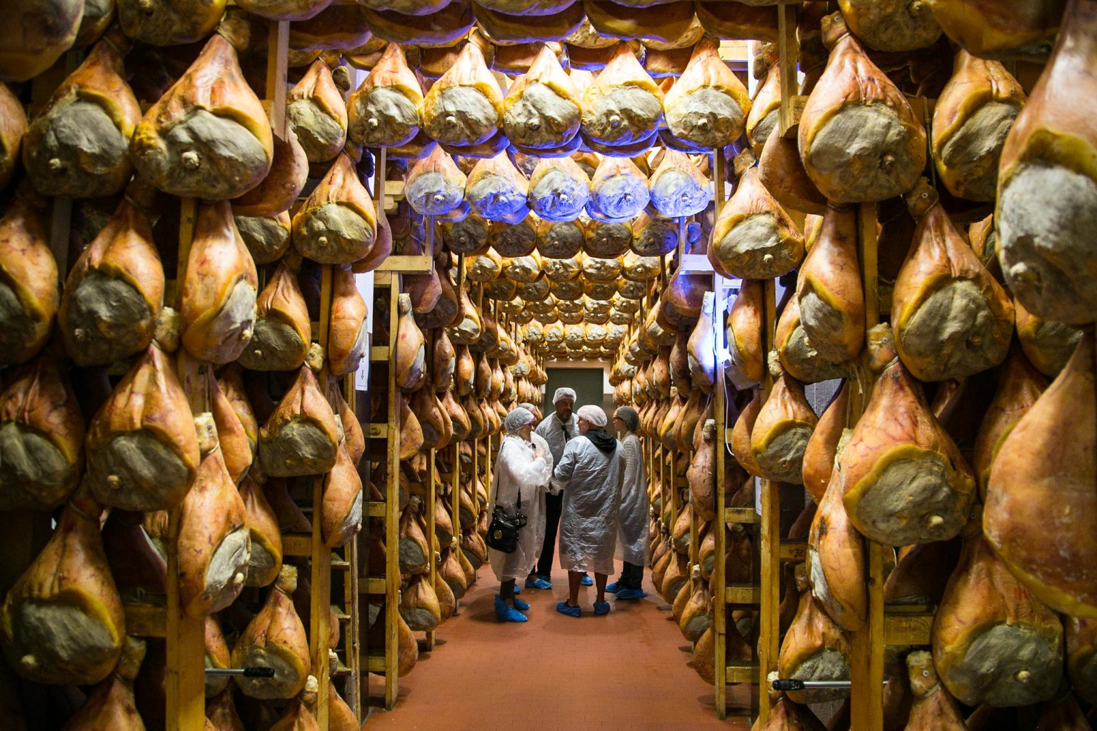 food valley tours parma